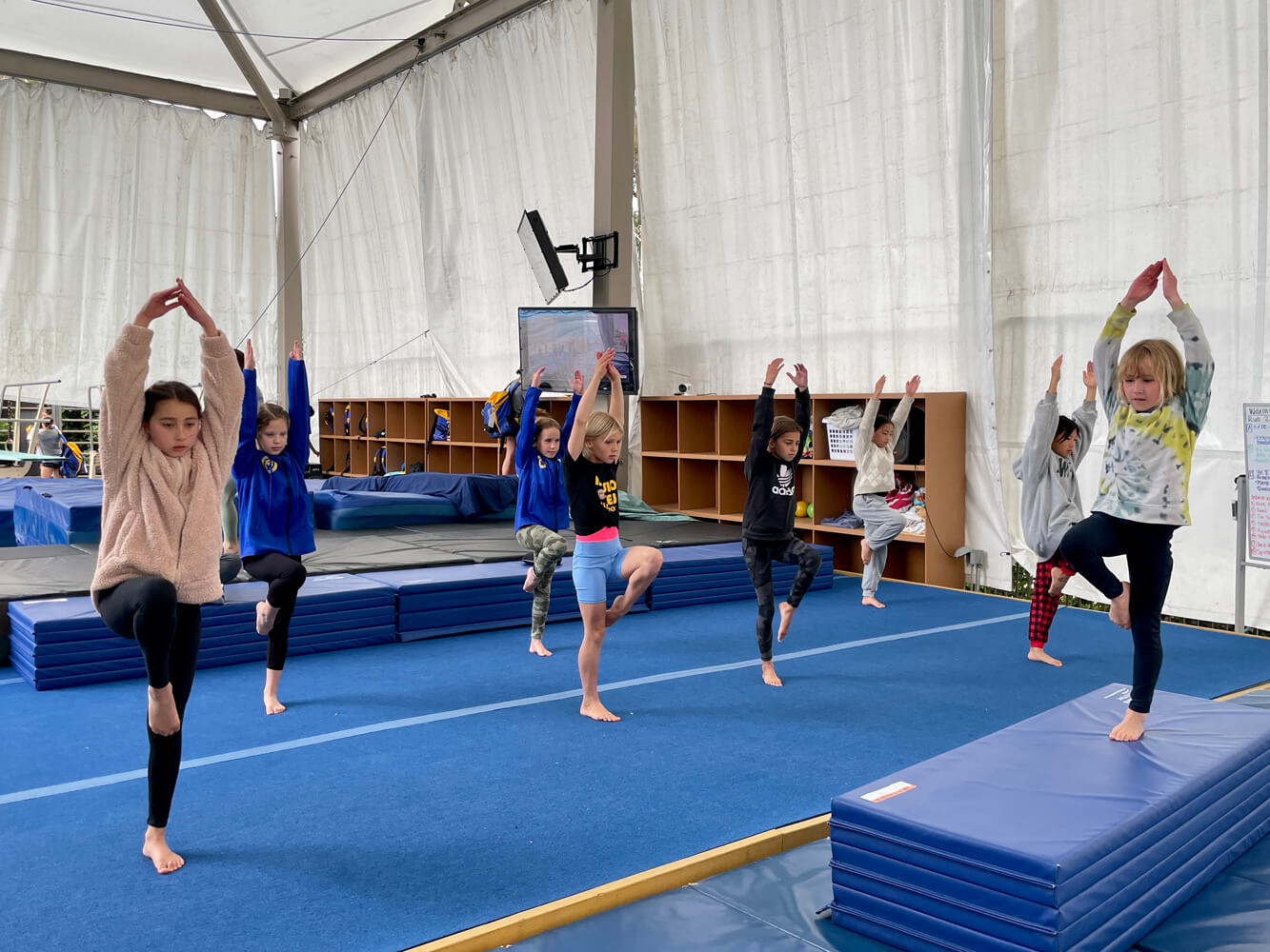 novice iv David Colturi